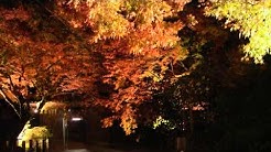 つつじ寺大興善寺 Youtube