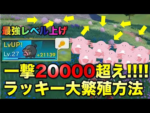 【無限ラッキー経験値稼ぎ】10分でレベルが40上がります【ポケモンSV/スカーレット・バイオレット】