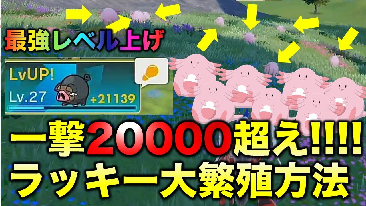 無限ラッキー経験値稼ぎ 10分でレベルが40上がります ポケモンsv スカーレット バイオレット Youtube