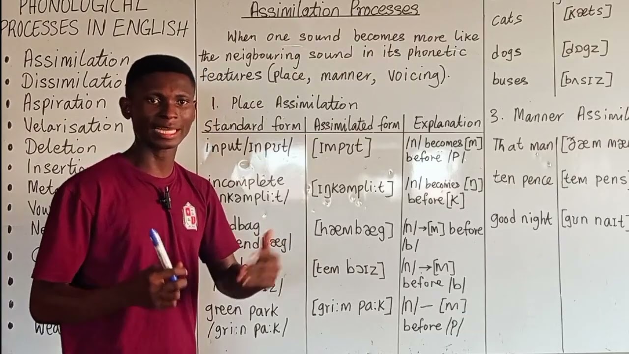 ФОНОЛОГИЧЕСКИЕ ПРОЦЕССЫ В АНГЛИЙСКОМ ЯЗЫКЕ: ПРОЦЕСС АССИМИЛЯЦИИ