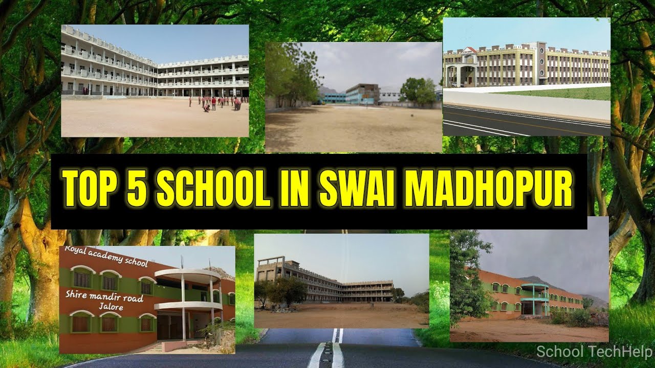Top 5 School in Swai Madhopur (RAJASTHAN) 