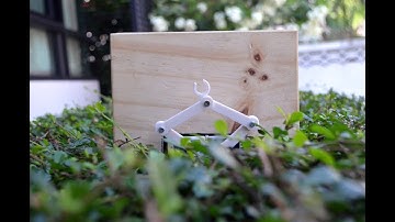 BOP: Plot clock concept