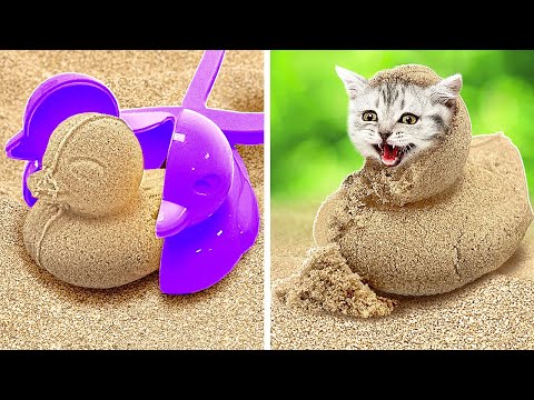 Look! We Found a Cat in the Sand!🙀 Best Pet Owner’s Hacks!