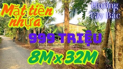 NEW 365 // 🍀 Đất mặt tiền đường nhựa giá siêu rẻ để đầu tư 8m x 32m thổ cư 100m2 vị trí thuận tốt 