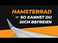 Wie du mit Bitcoin das Hamsterrad verlassen kannst.