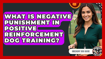 What Is Negative Punishment In Positive Reinforcement Dog Training? - Obedient Dog Guide