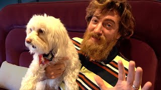 Our Dogs Meet a Cat For The First Time by Rhett & Link 1,819,545 views 4 years ago 12 minutes, 24 seconds