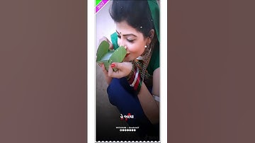 Narvat Rathva timli status 2025 !! Dharmes Vahkadiya timli status 2025 !! Jagdish Rathva timli statu