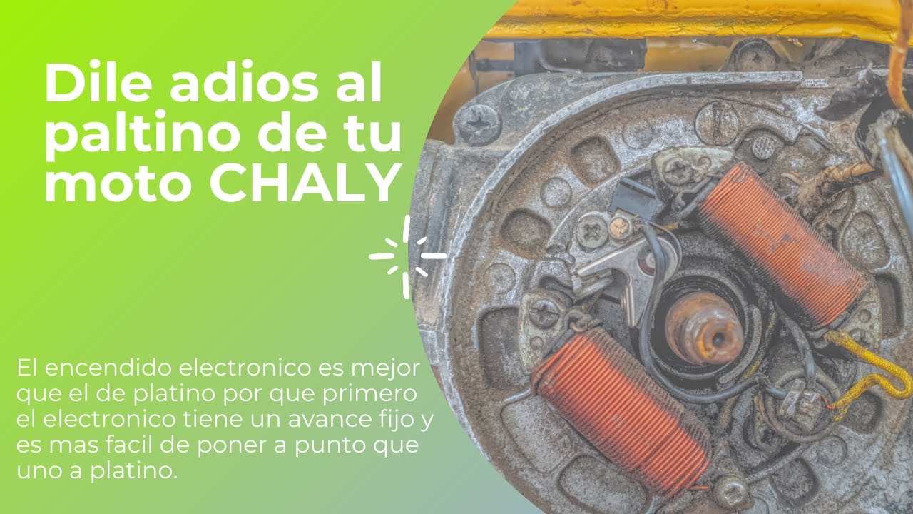 DILE CHAO AL PLATINO DE TU MOTO