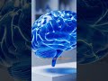 5 Amazing Facts About the Human Brain