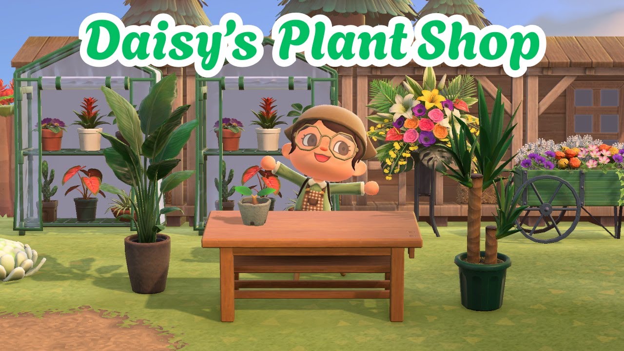 I Built Daisy a Cozy Plant Shop 🌿| ACNH Speed Build