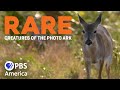 Rare: Creatures of the Photo Ark - Episode 1 (2017) | Full Documentary