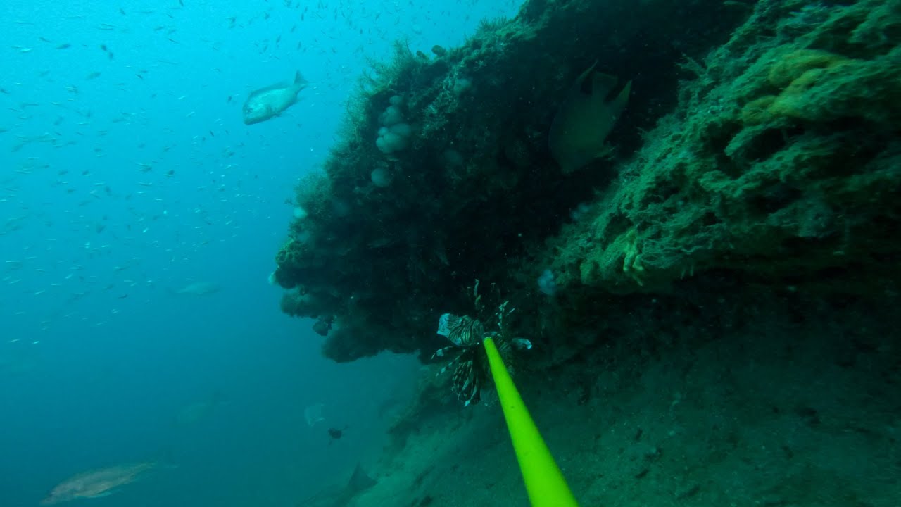 Scuba Diving Offshore Jacksonville FL