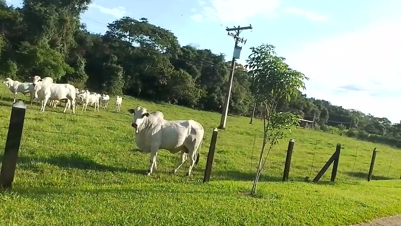 23 de dezembro de 2025