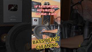 18" BASS SPEAKER BEAST Cleaning - How to Clean SPEAKERS