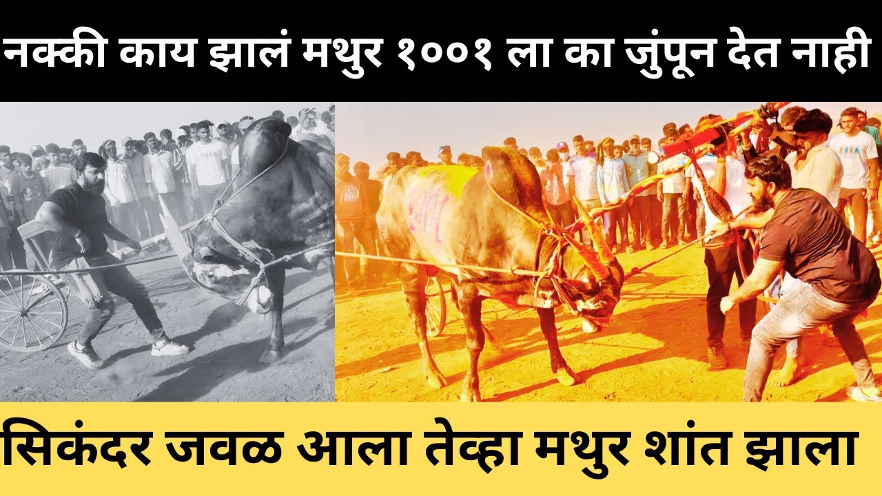 राहुल भाई व सोनू भोपतराव सोबत एका व्हिडिओ मधे 💯😍