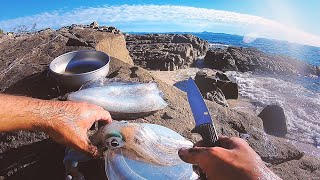 Eat What You Catch, Squid 2 Ways  Overnight Solo Island Camping  Day 1