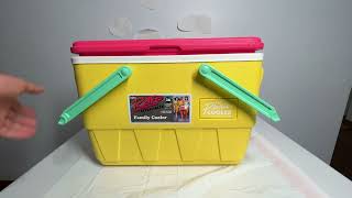 Things To Know About This Igloo Retro Lunch Picnic Cooler