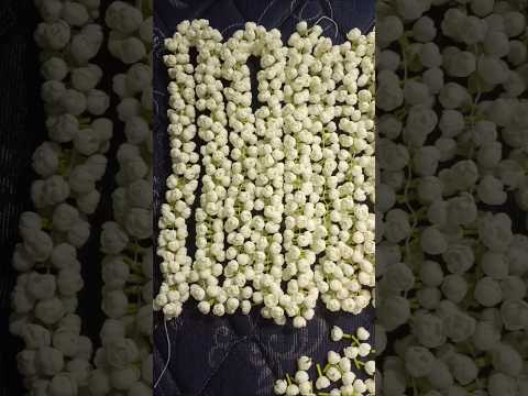 Artificial Jasmine #artificial #jasmine #craft