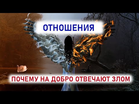 почему люди отвечают на добро злом аргументы. что такое доброта сочинение аргументы. почему люди отвечают на добро злом аргументы. аргументы добра и зла. почему люди отвечают на добро злом аргументы.