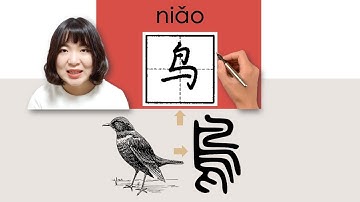 174-300_#HSK3#_鸟/鳥/niao/(bird) How to Pronounce/Say/Write Chinese Vocabulary/Character/Radical