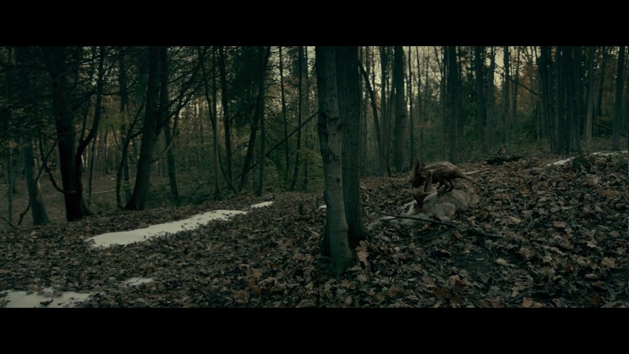 The Silence Post credits Kiernan Shipka messege about the Evolution of Species