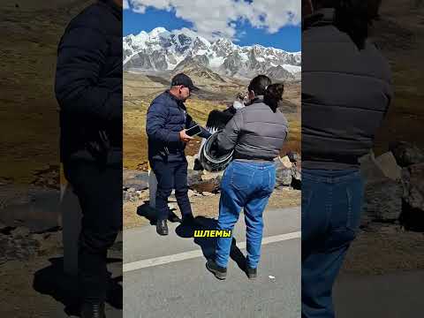 Байкер упустил редкий кадр с хищником!