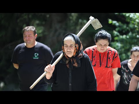 მთავრობა რაჭაში ხიდაშელისთვის გადაცემულ ტყეებთან ადგილობრივებს მიწებს ართმევს