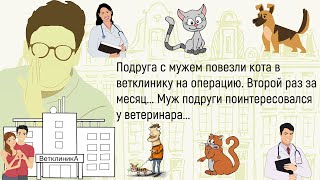 🏠Был У Меня Кот Однажды...Сборник Новых Весёлых Историй,Про Братьев Наших Меньших!