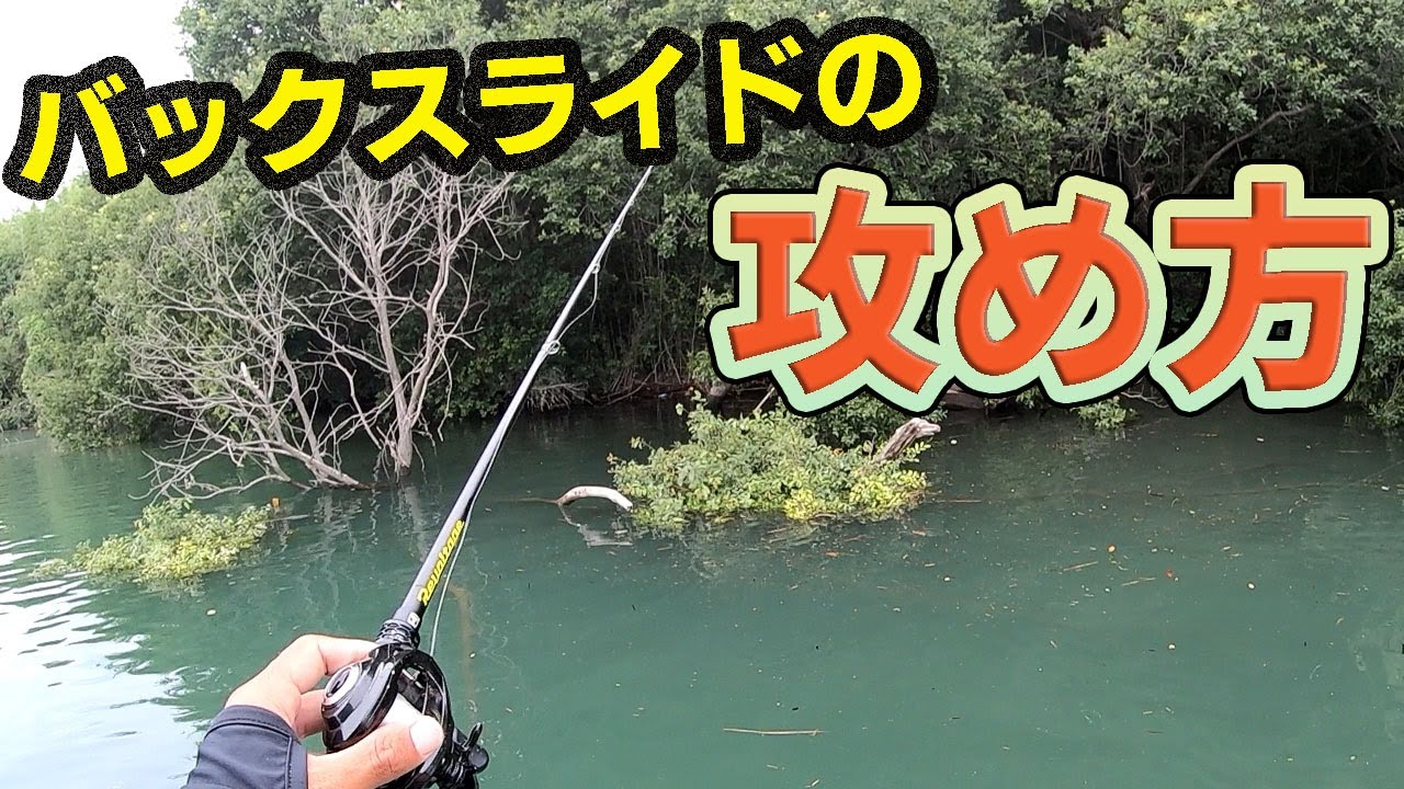 バックスライドワームで一匹でも多く釣るための実釣＆解説編。
