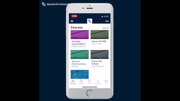 How to use the Canvas app on your smartphone