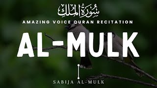 Peaceful Recitation of Surah Mulk (The Kingdom) سورة الملك