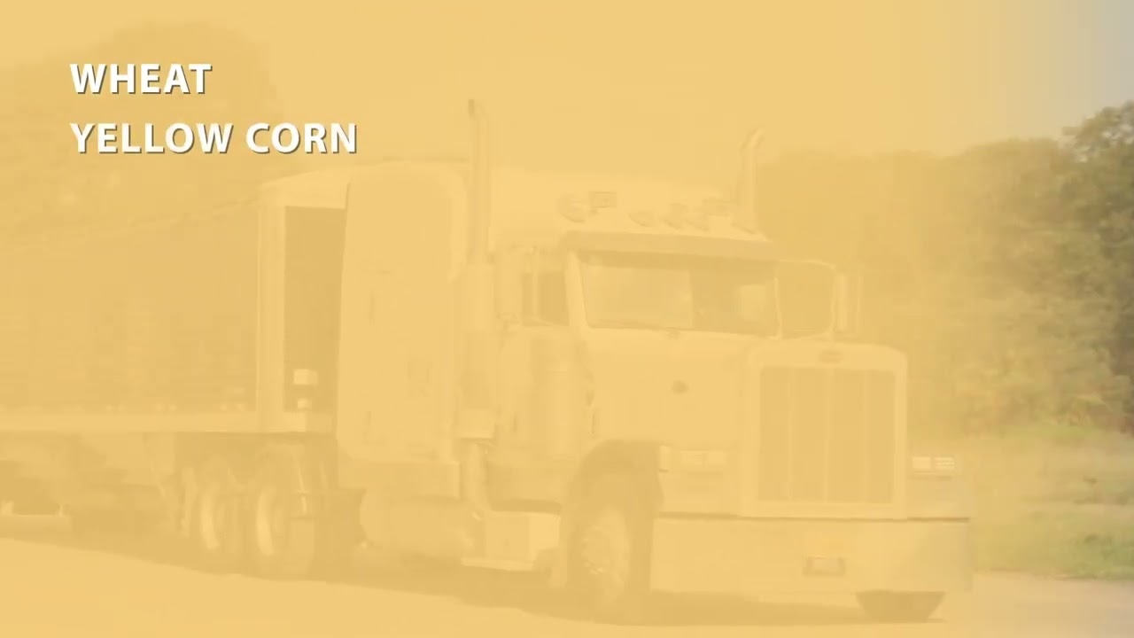 Inside Consolidated Grain and Barge Co.