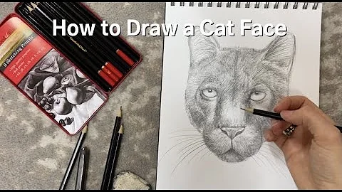 How to Draw a Cat Face! (Easy Step by Step Narrated Tutorial)