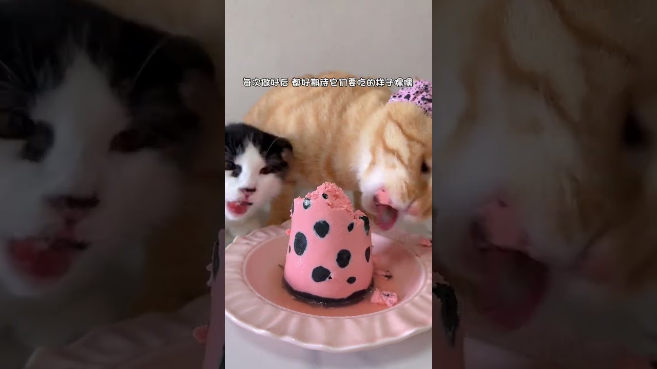 Orange Immersive Storm Inhalation Strawberry Bubble Milk Tea 