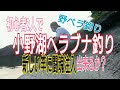 初心者ヘラブナ釣りで新しい竿に闘魂注入