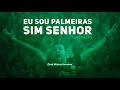 Eu sou palmeiras sim senhor  funk do palmeiras mc fandangos