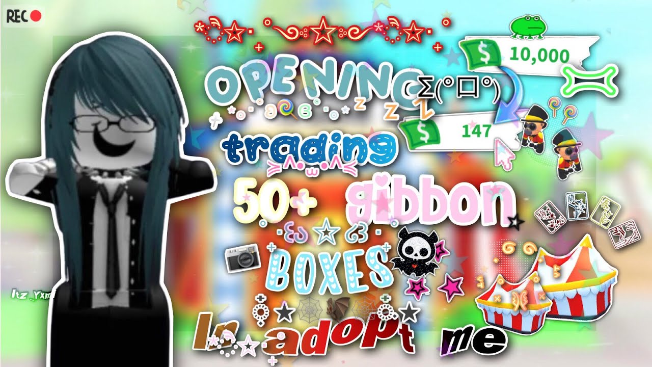 Gibbon Box 50x - Adopt Your Pets - Fast Delivery