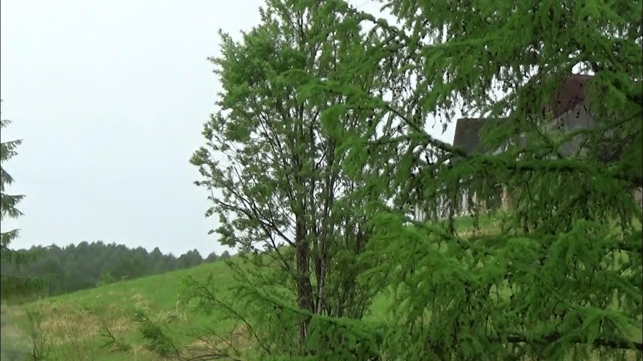 カナディアンワールド公園(赤毛のアン)2 北海道芦別市 YouTube