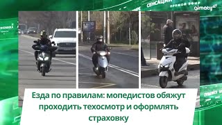 Езда по правилам: мопедистов обяжут проходить техосмотр и оформлять страховку