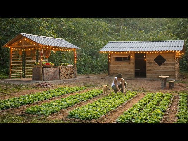 Doctor left the city for the forest, built a farm, gardened, hunted, cooked in the wilderness