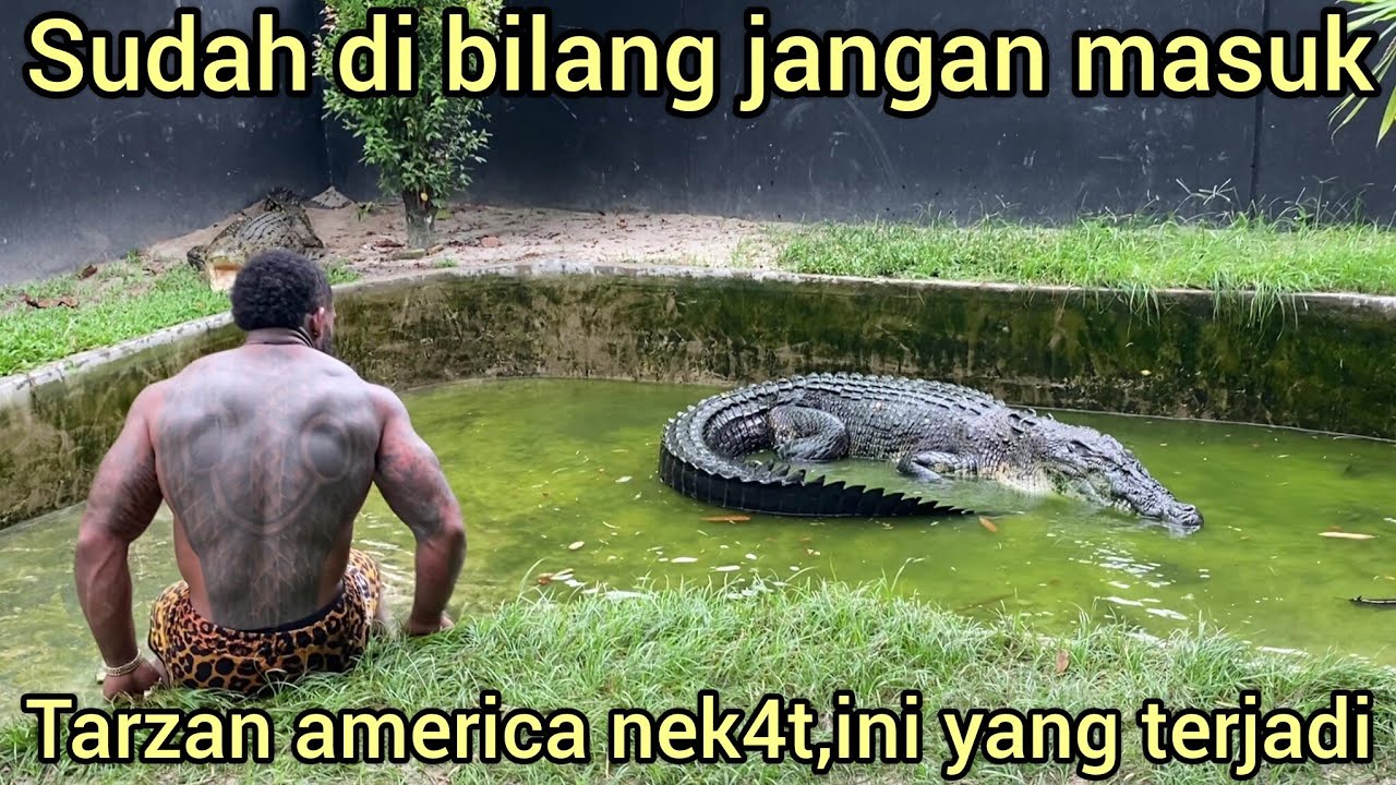MOMEN MENEGANGK4N TARZAN AMERICA NYAR1S DI SAMBAR BUAYA HITAM RAKSASA DI RIAU