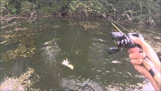 Peche du black bass l'été en casting - GoPro HD