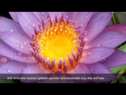 55 - Surah