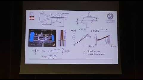 Cohesive zone modelling and the fracture process of structural tape