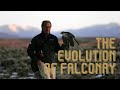 The Evolution of Falconry