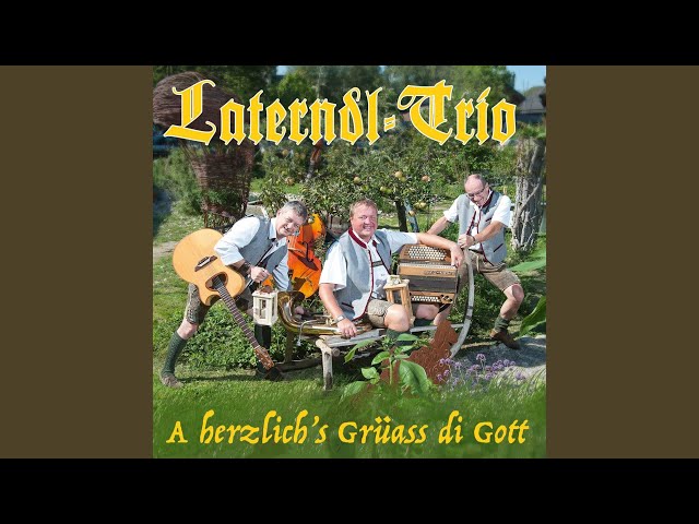 Laterndl Trio - Almsee-Boarisch