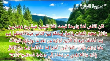 سورة البقرة أية رقم "211" إلى الأية رقم "215" بصوت القارئ طارق محمد ..