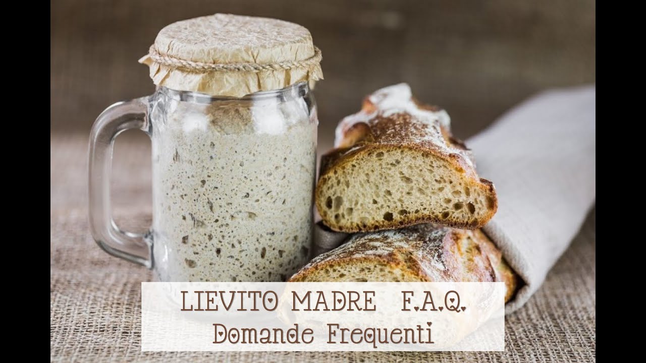 LIEVITO MADRE F.A.Q. Domande Frequenti