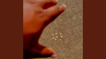 NO WALLET (feat. sophia shi)